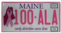 Breast Cancer Plate 