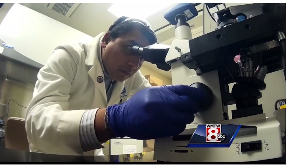 UNE Maine Breast Cancer Research Grant