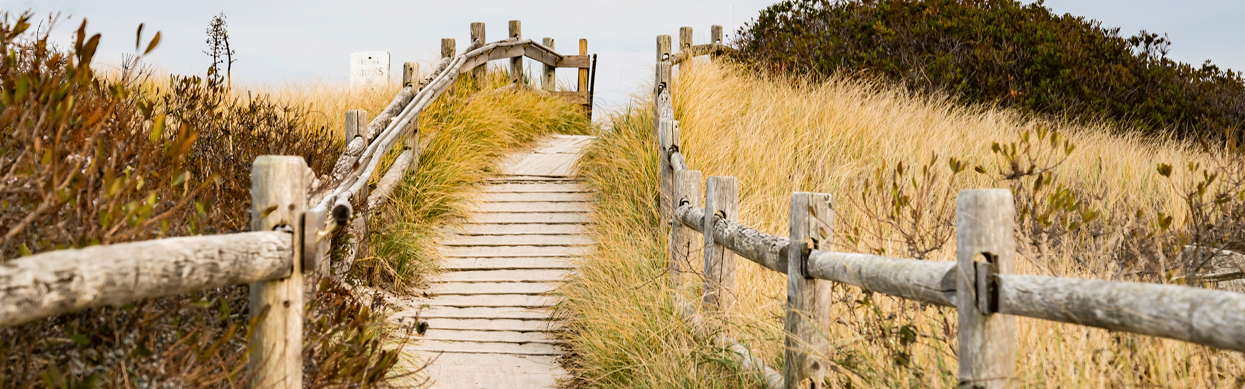 pathway