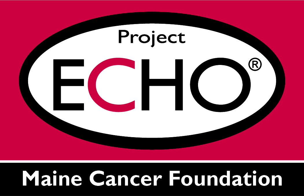 Project Echo Logo 